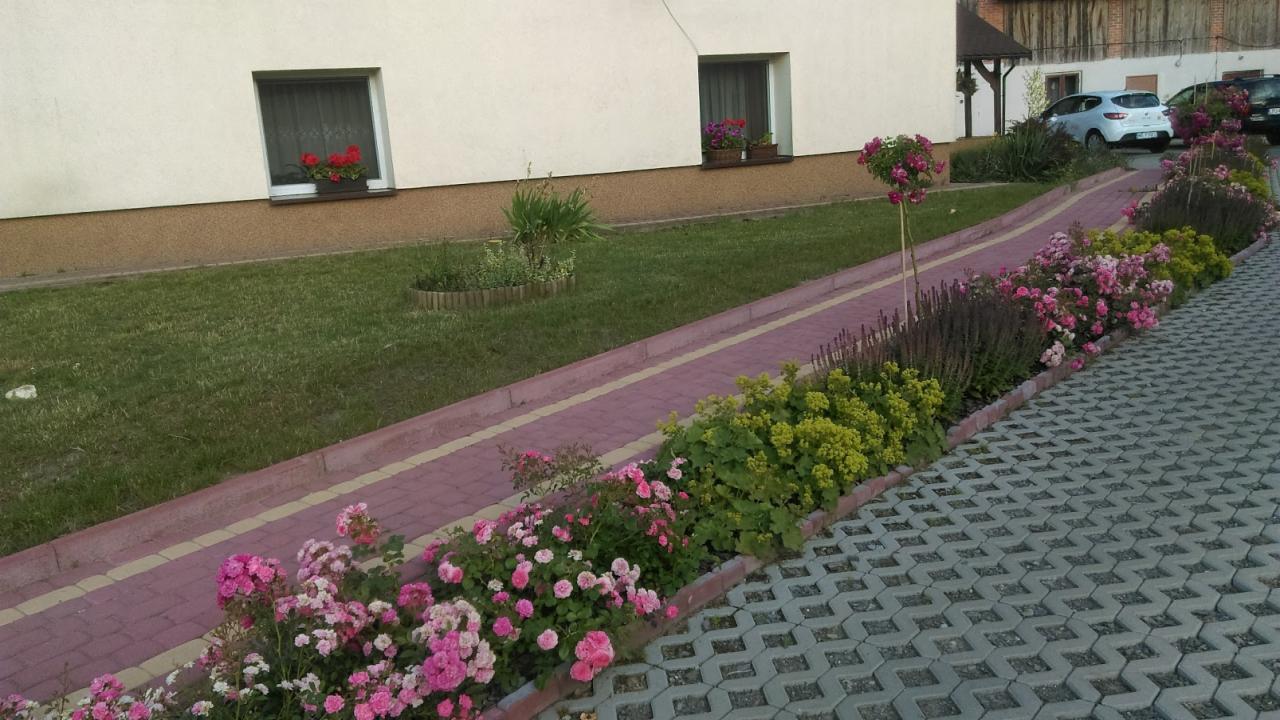 Kaskadowy ogród z różowymi i żółtymi kwiatami wzdłuż ścieżki z kostki brukowej, z oknami z czerwonymi kwiatami w tle.