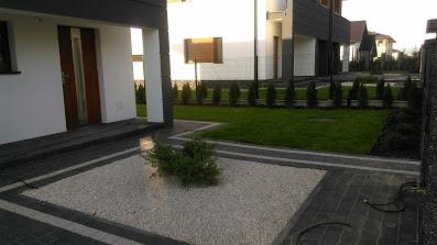 Kwadratowa rabata z białym grysem i pojedynczym krzewem na tle nowoczesnego domu, obok trawnik z rzędem małych tuj, widoczne szare płytki chodnikowe.