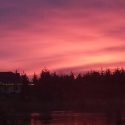 Karo Katarzyna Jankowicz - Zarządzanie Nieruchomościami Komercyjnymi Strzelce Krajeńskie