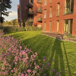 Serwisbruk.pl - Zadbany trawnik przed nowoczesnym budynkiem z czerwonej cegły, ozdobiony rabatą z fioletowymi kwiatami i ogrodzeniem. Widoczne balkony i okna budynku.