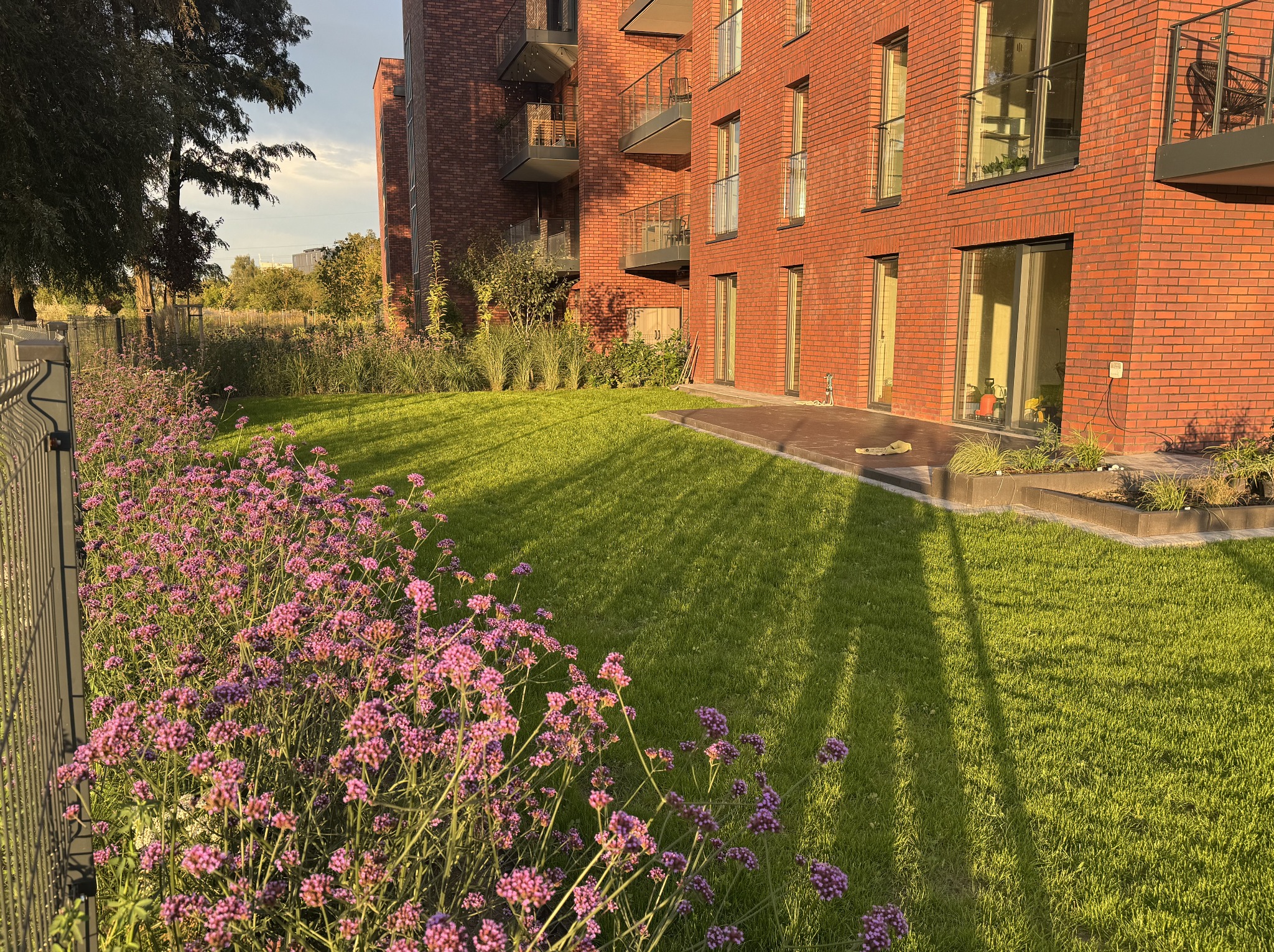 Zadbany trawnik przed nowoczesnym budynkiem z czerwonej cegły, ozdobiony rabatą z fioletowymi kwiatami i ogrodzeniem. Widoczne balkony i okna budynku.