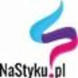 Logo firmy NaStyku.pl z abstrakcyjnym symbolem w kolorach turkusowym, fioletowym i różowym, umieszczone obok nazwy firmy.
