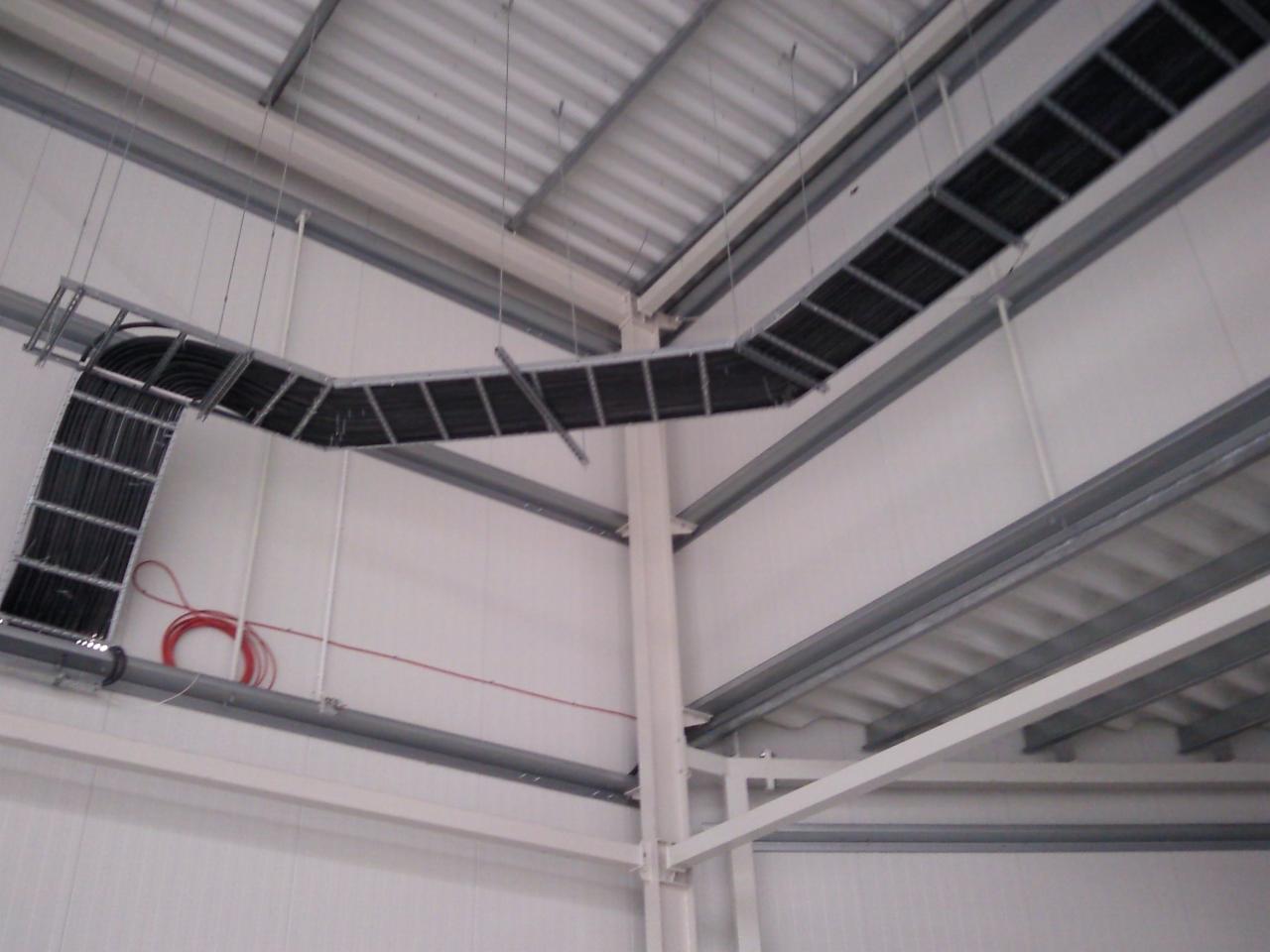 Metalowa trasa kablowa pod sufitem hali, wypełniona czarnymi kablami, z fragmentem czerwonego przewodu widocznym na ścianie.