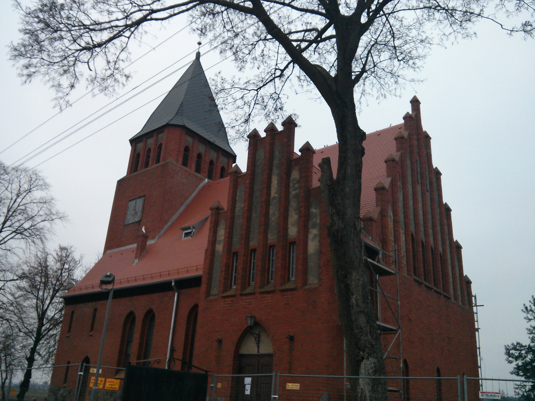 Ceglany kościół gotycki z wieżą i nową dachówką, widoczny z dołu na tle pochmurnego nieba, częściowo zasłonięty drzewem bez liści, z rusztowaniami przy ścianie.