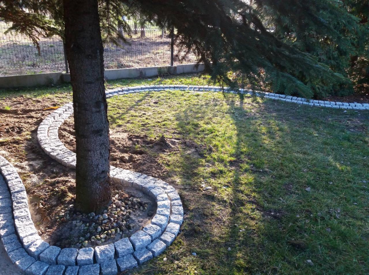 Granitowa obwódka wokół pnia drzewa na trawniku, widoczne cienie drzew i ogrodzenie w tle.