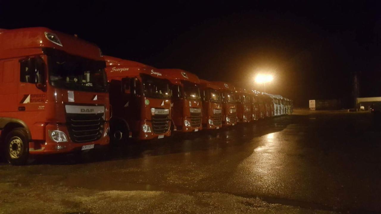 Flota czerwonych ciężarówek DAF marki Scorpion, zaparkowana nocą na mokrym asfalcie, oświetlona lampą uliczną.