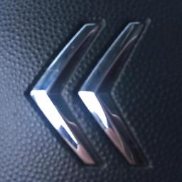 Transport busem Zgierz 2