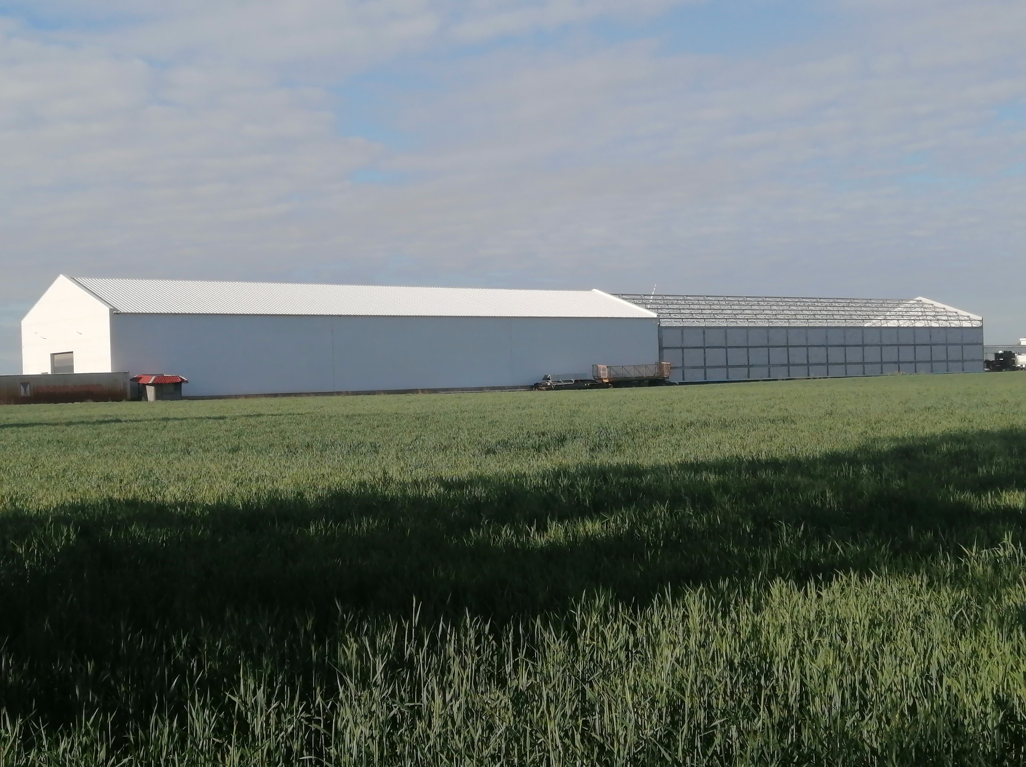 Długa, biała hala z częściowo widoczną konstrukcją szkieletową w tle, otoczona polem zielonej trawy pod błękitnym niebem z chmurami.
