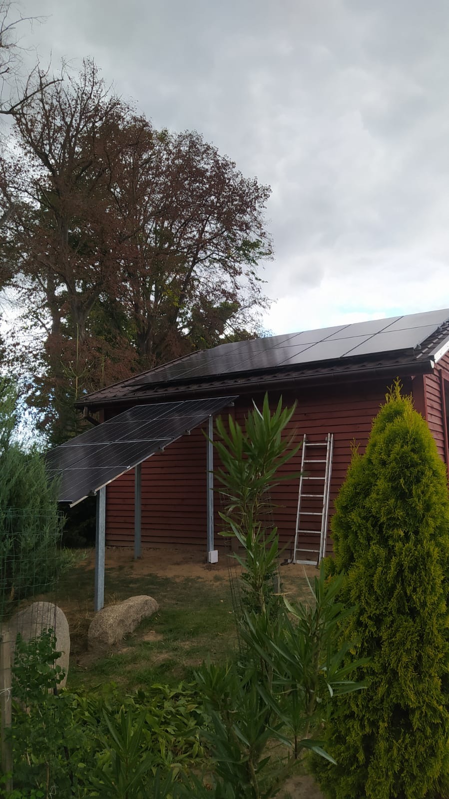 Panele fotowoltaiczne zamontowane na dachu i wspornikach przy budynku z drewnianą elewacją, drabina oparta o ścianę, widok z poziomu ogrodu z roślinnością.