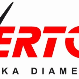 Logo firmy Everton Technika Diamentowa, napis Everton w kolorze czerwonym i czarnym, poniżej czarny napis Technika Diamentowa.