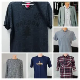 Kolaż prezentujący różnorodne ubrania: koszulka z napisem 'OREGON' i motywem drzewa, szara marynarka na manekinie, szara koszulka polo, sweter z długim rękawem, granatowa koszulka z napisem 'CHANEL...