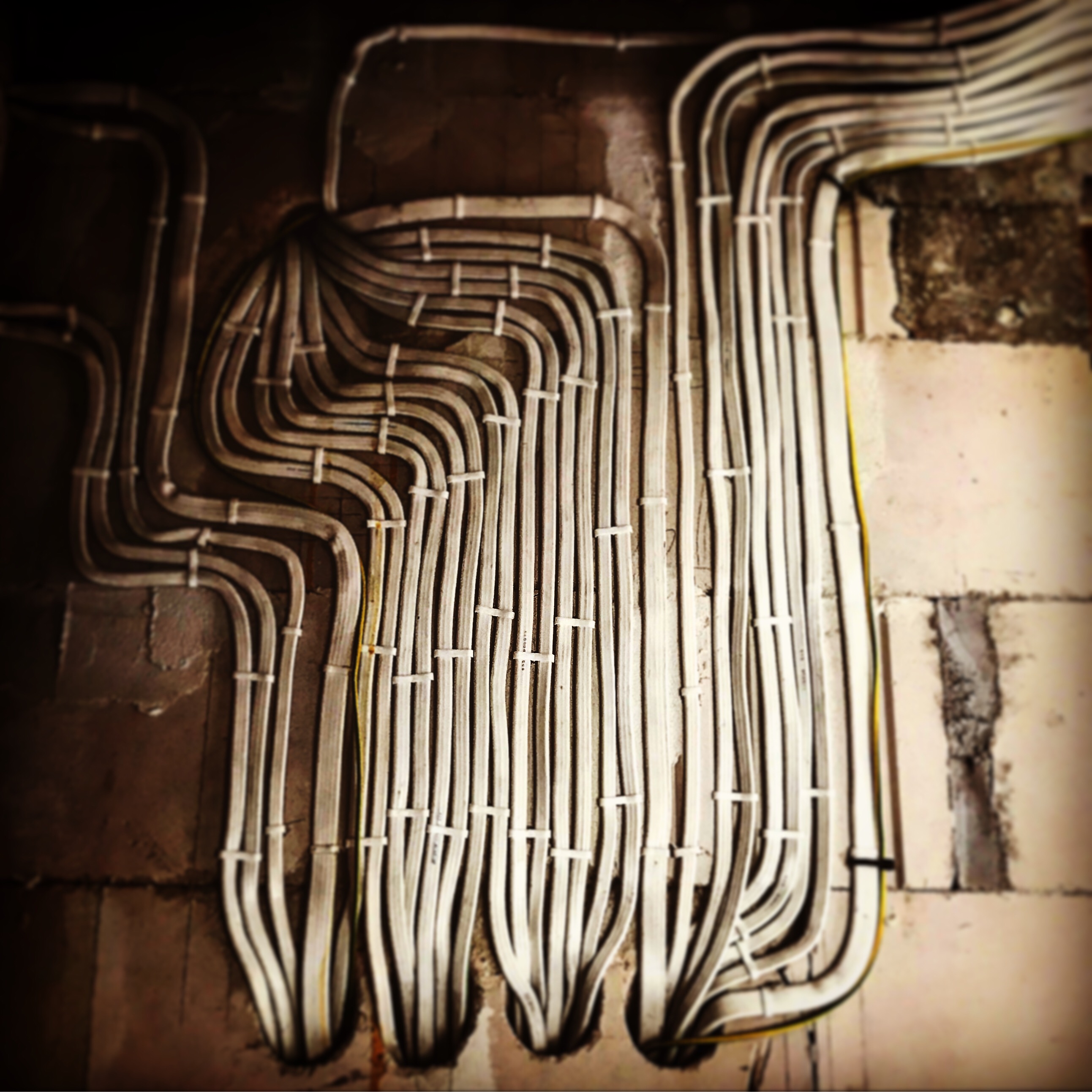 Równolegle ułożone kable elektryczne przymocowane do surowej ściany z pustaków, zabezpieczone białymi opaskami zaciskowymi, widoczne fragmenty żółtej izolacji.