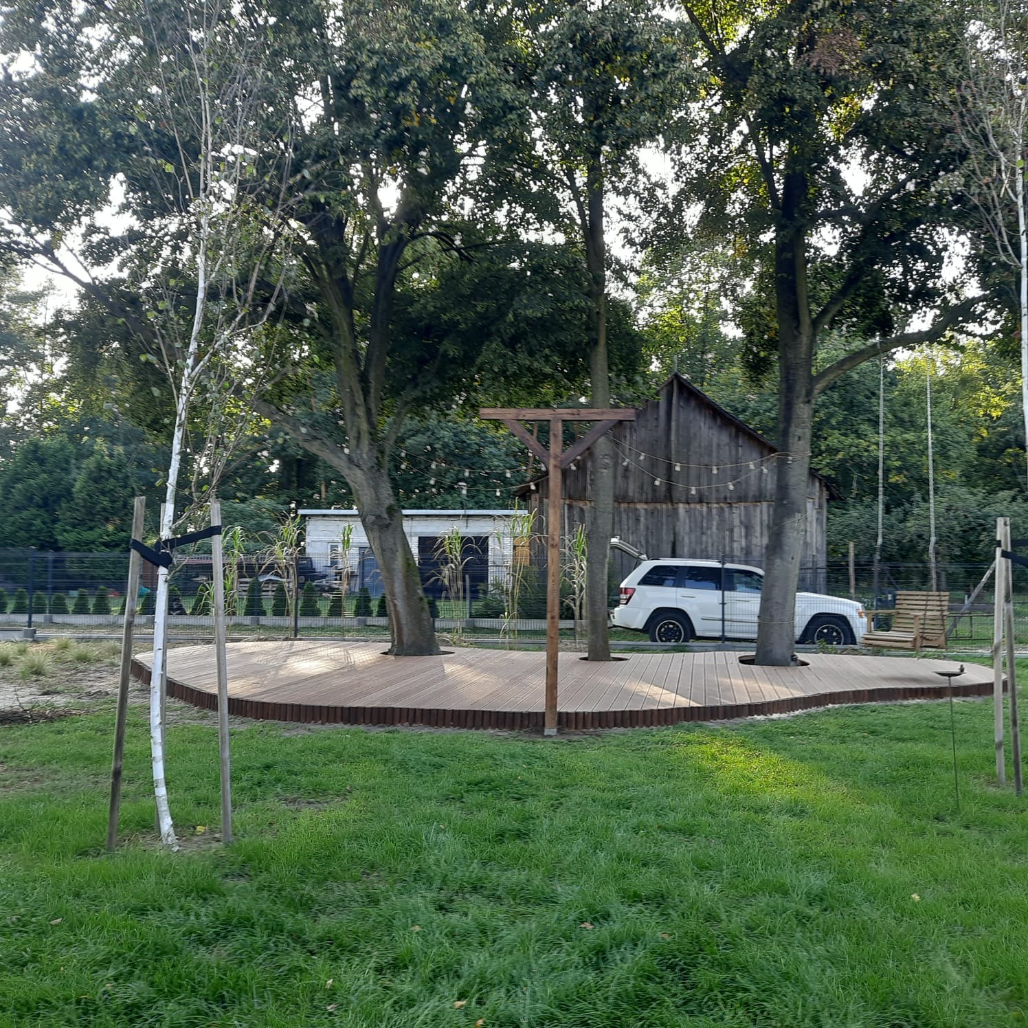 Nietypowy taras drewniany otaczający drzewa, z drewnianą konstrukcją na środku i białym samochodem w tle, oświetlony girlandami żarówek.