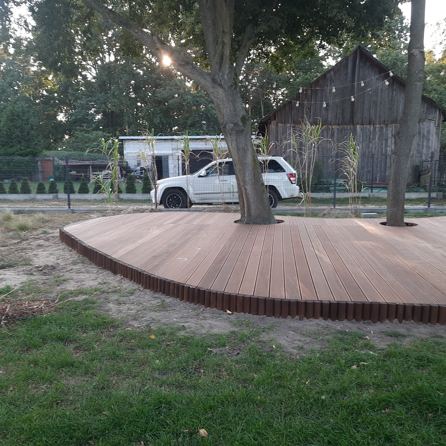 Zakrzywiony taras z desek kompozytowych otaczający drzewa, z widocznym samochodem i budynkiem w tle.