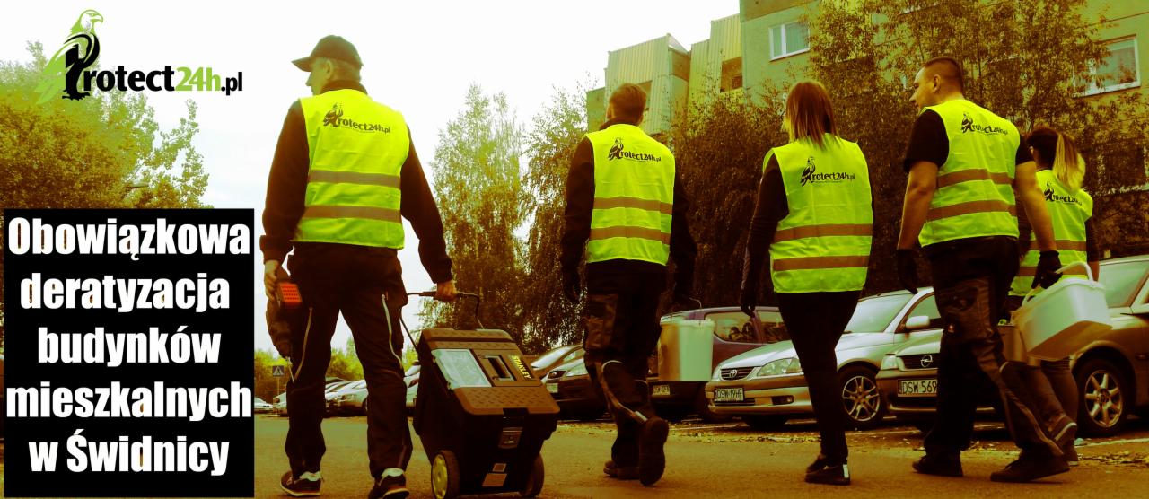 Obowiązkowa deratyzacja- Świdnica