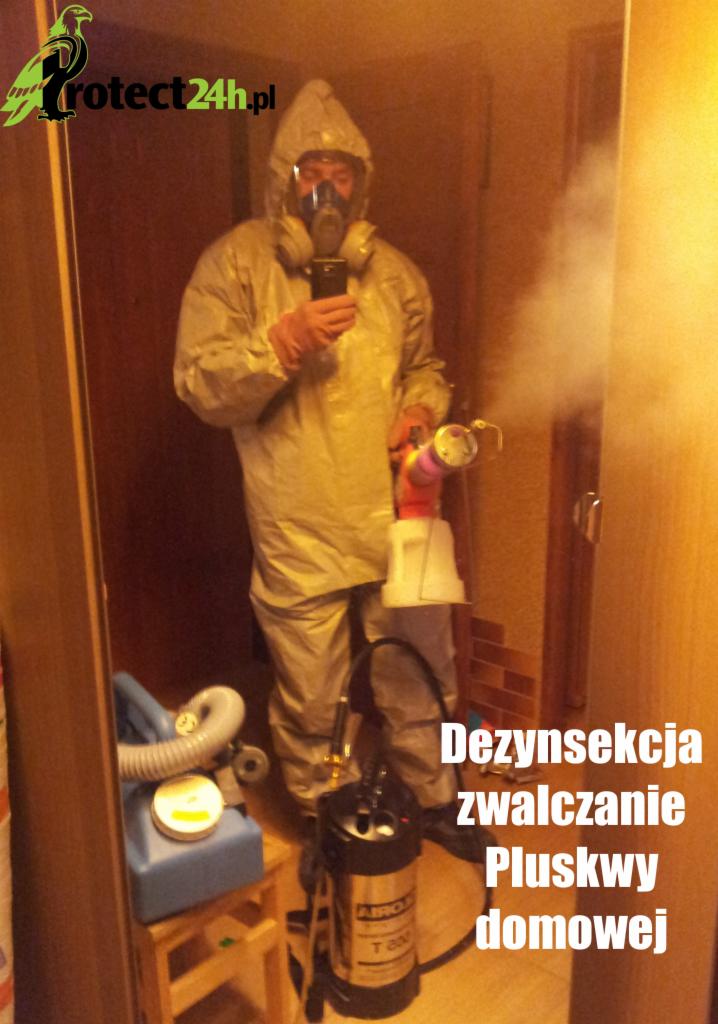Zwalczanie pluskwy domowej