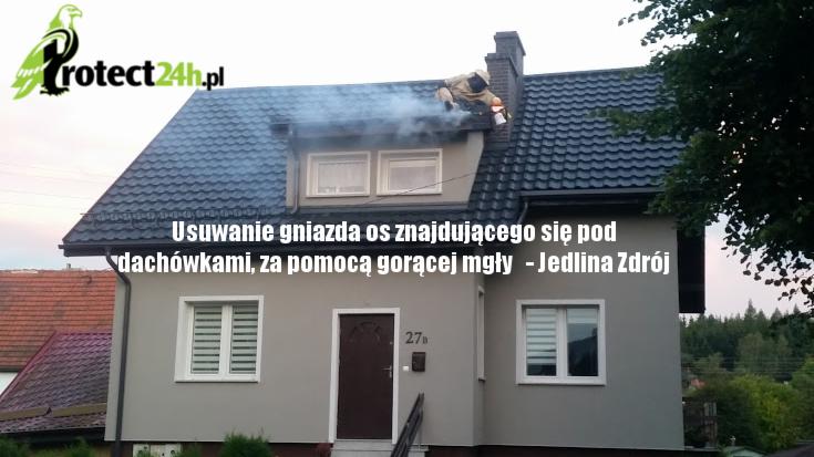 Usuwanie gniazda os