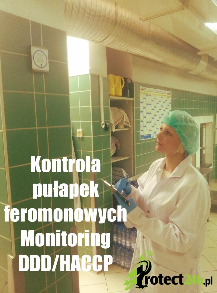 Monitoring DDD/ HACCP- kontrola pułapek, monitoring szkodników
