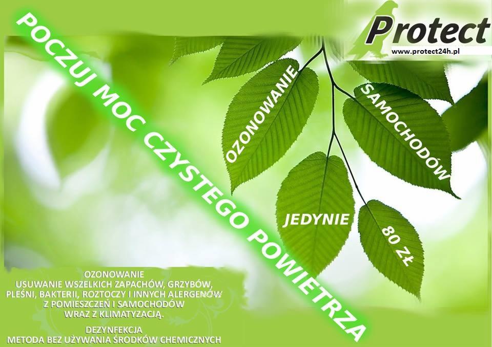 Odgrzybianie klimatyzacji samochodowej