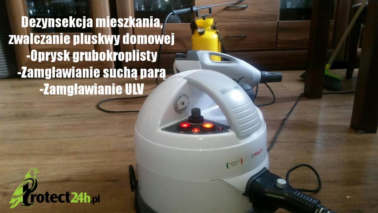 Dezynsekcja mieszkania