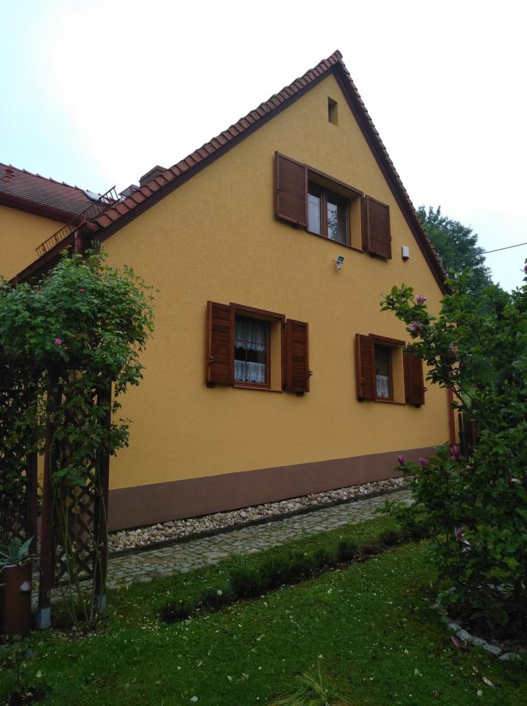 Dom jednorodzinny z żółtą elewacją, brązowymi okiennicami i dachem, widziany z poziomu ogrodu, z widocznym fragmentem chodnika z kamienia i zielenią.