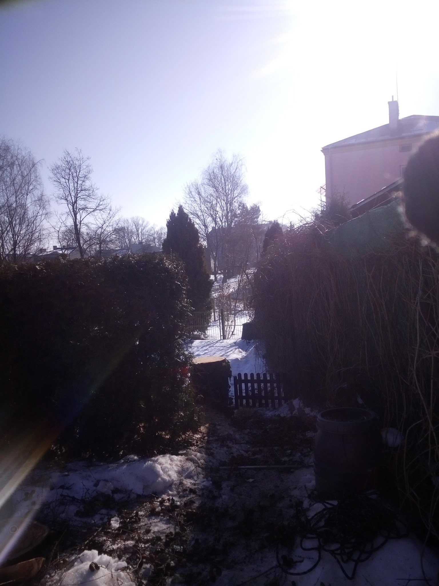 Zimowy ogród z fragmentami śniegu, widoczne krzewy, drzewa bez liści i budynek w oddali pod jasnym niebem.