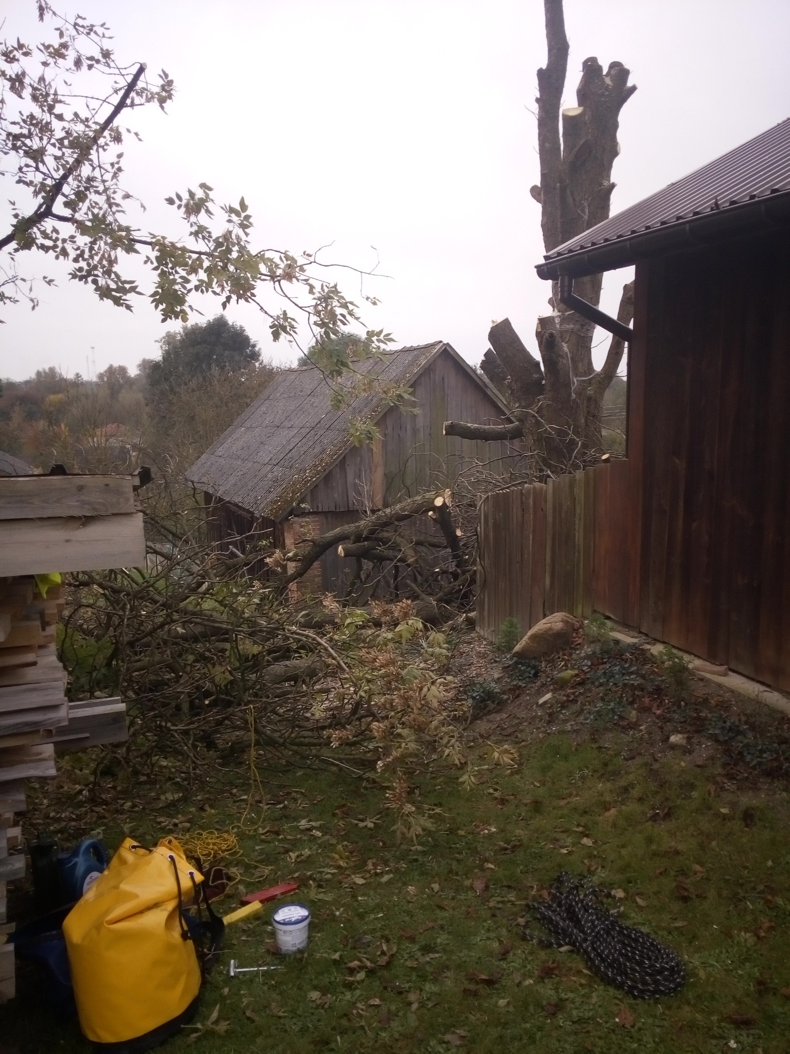 Po wycince: Pień drzewa po obcięciu gałęzi, porozrzucane gałęzie i liście na trawie, obok drewnianych budynków gospodarczych, widoczny sprzęt do prac ogrodniczych: żółta torba, liny, pojemnik.