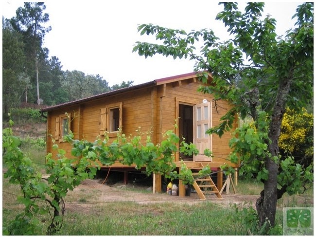 Drewniany domek letniskowy z otwartymi drzwiami i okiennicami, otoczony zielenią. Widoczne schody wejściowe i podwyższona konstrukcja. Naturalne otoczenie z drzewami i krzewami.