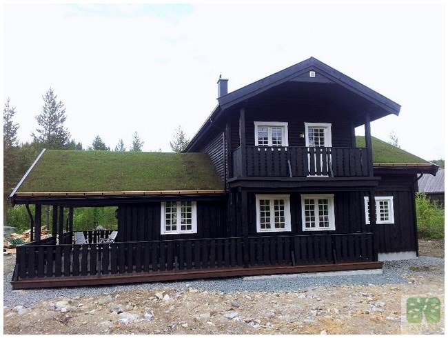 Czarny, dwukondygnacyjny dom z drewna z zielonym dachem porośniętym trawą. Widok z zewnątrz, na pierwszym planie żwirowe podłoże.