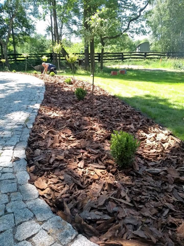Rabata wysypana korą, z młodymi drzewkami i krzewami, obok ścieżka z kostki brukowej, w tle osoba z taczką i drewniany płot.