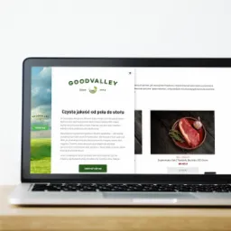 Współpraca z GoodValley w ramach autorskiej wtyczki reklamującej do sklepu Smaki Premium.