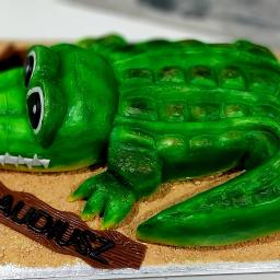 Tort Krokodyl