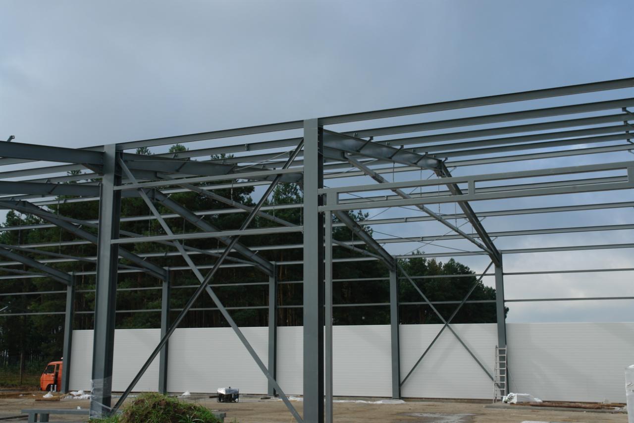 Szkielet konstrukcji stalowej hali w trakcie budowy, widoczne elementy montażowe, białe płyty ścienne, las w tle i pomarańczowy samochód dostawczy w oddali.