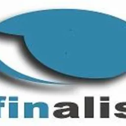 Niebiesko-szare logo firmy 'finalis' z abstrakcyjnym symbolem przypominającym oko lub soczewkę, rzucające cień na białe tło.