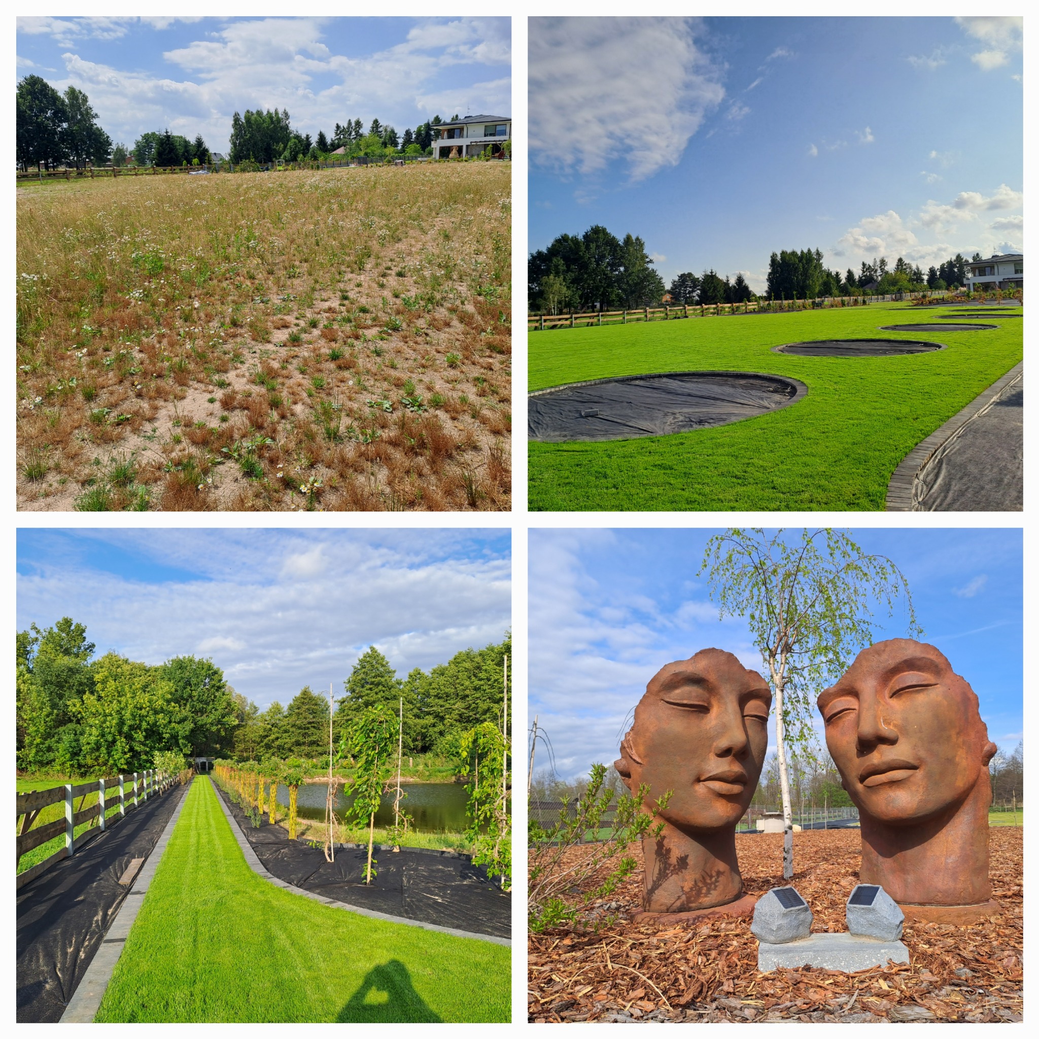 Kompozycja czterech ujęć: pole przed założeniem trawnika, trawnik z przygotowanymi miejscami na trampoliny, trawnik z alejką wzdłuż ogrodzenia i oczka wodnego, oraz rzeźby głów na korze.