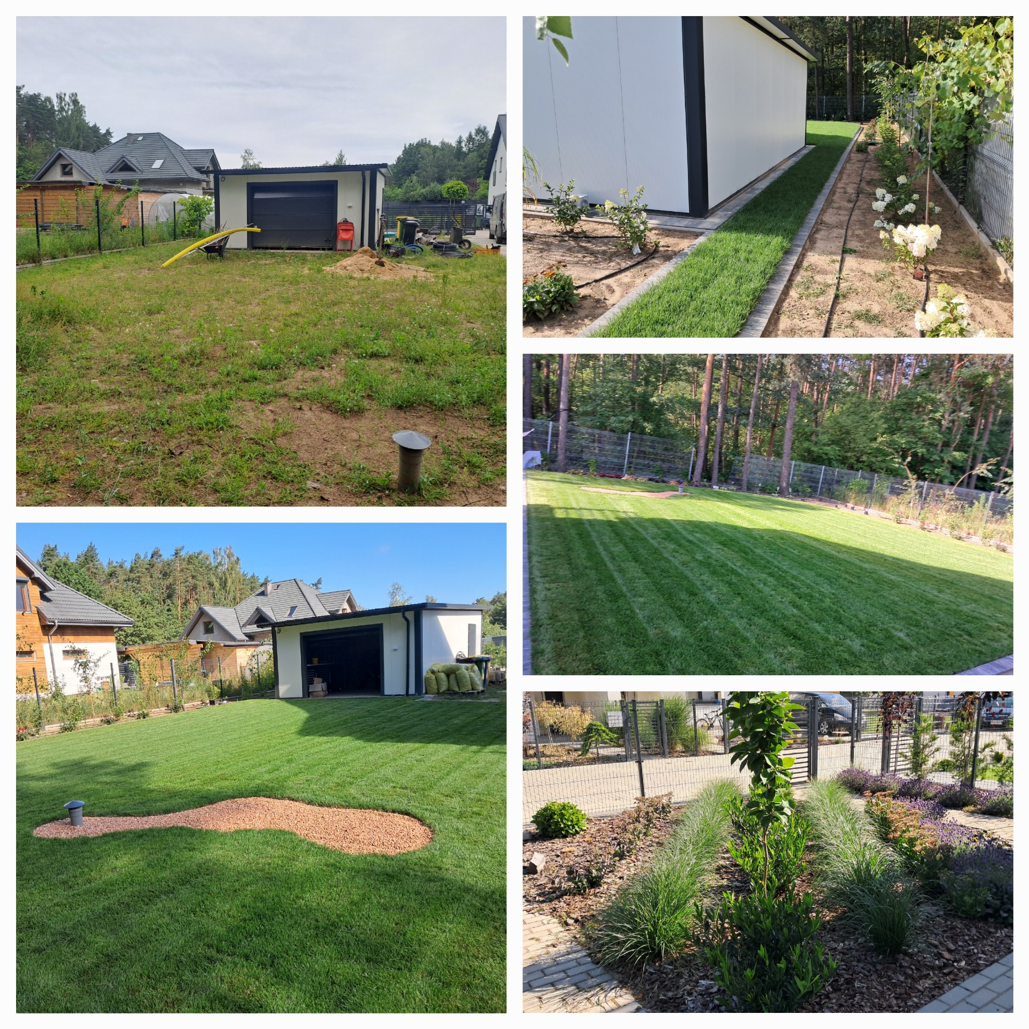 Kompozycja zdjęć z etapów zakładania ogrodu: od nierównego terenu z budynkiem gospodarczym, przez system nawadniania, po równy trawnik z wyznaczoną ścieżką z kamyków i rabatami z ozdobnymi roślinami.