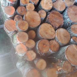 Drewno kominkowe Racimierz 2