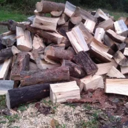 Stos pociętych kloców drewna na trawie z widocznymi trocinami i korą.