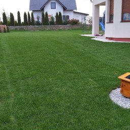 Ogrody Gniezno Łukasz Kaczała - Zadbany trawnik z równo przystrzyżoną trawą, obrzeżem z kamienia i drewnianą donicą na tle domu jednorodzinnego z tujami w ogrodzie.