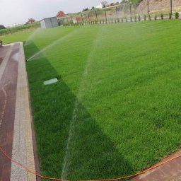 Ogrody Gniezno Łukasz Kaczała - Intensywnie zielony trawnik nawadniany przez zraszacze, z widoczną instalacją nawadniającą i fragmentem kostki brukowej. W tle zabudowania i drzewa.