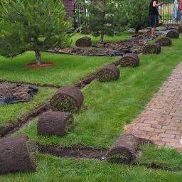 Pielęgnacja ogrodów Gniezno 4