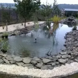 Oczko wodne z fontanną, obłożone kamieniami i żwirem, otoczone zielenią w ogrodzie przydomowym.