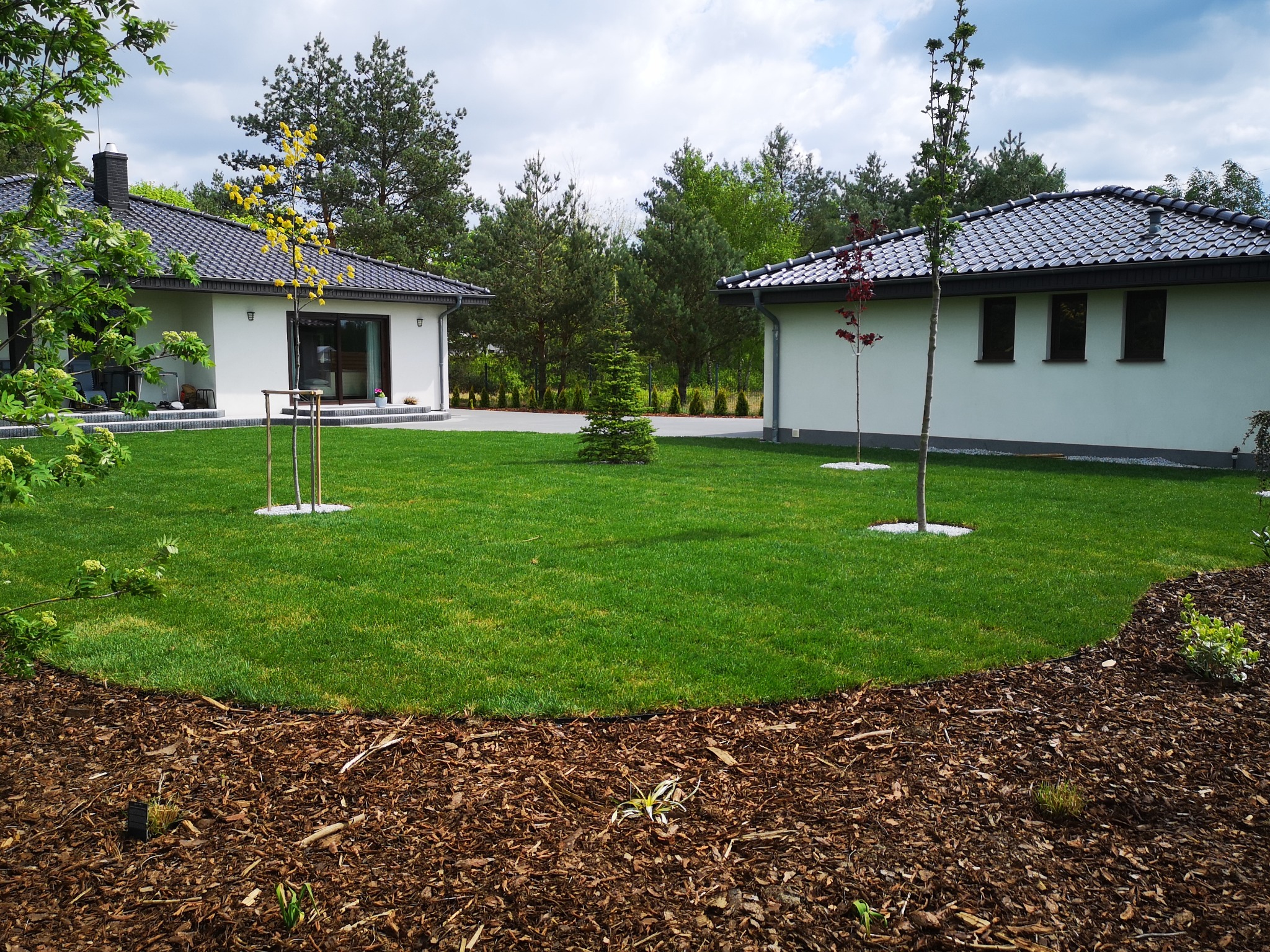 Zadbany trawnik z młodymi drzewkami i korą, otoczony nowoczesnymi domami z ciemnymi dachami. Widok na starannie zaprojektowany ogród.