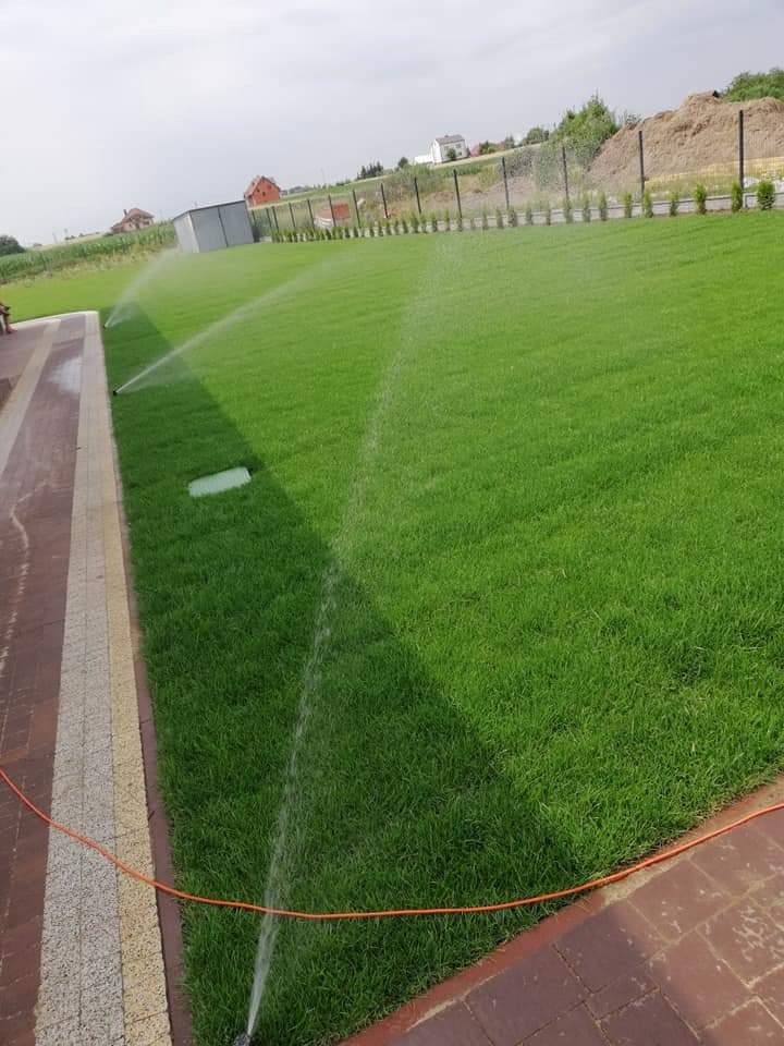 Intensywnie zielony trawnik nawadniany przez zraszacze, z widoczną instalacją nawadniającą i fragmentem kostki brukowej. W tle zabudowania i drzewa.