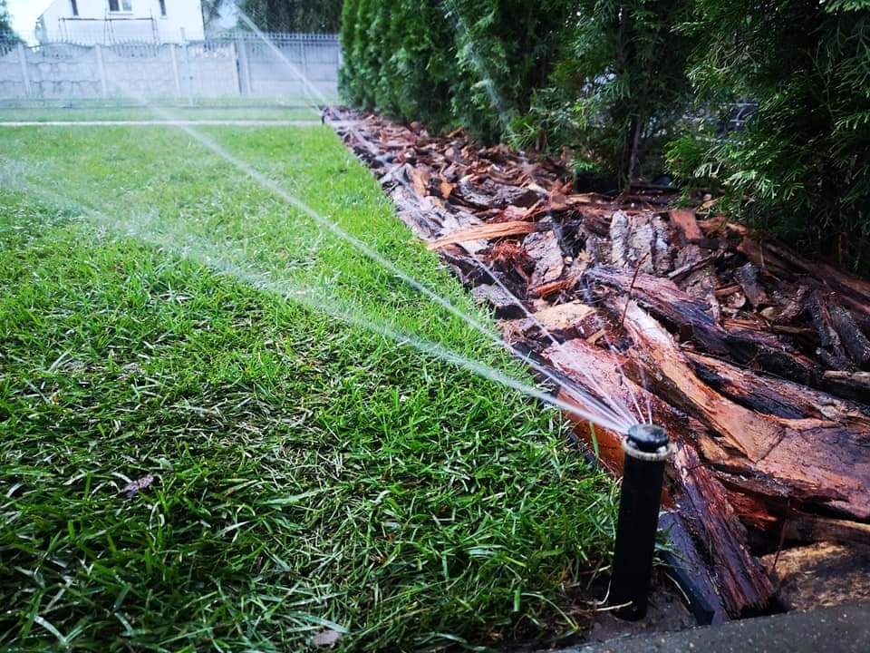 Automatyczny system nawadniania trawnika zraszaczem rotacyjnym, obok kory drzewnej i żywopłotu z tui, w tle ogrodzenie panelowe i dom.