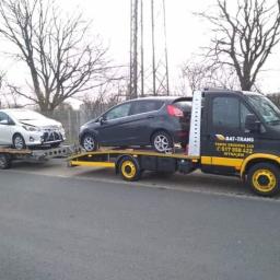 Bat-Trans - Transport Aut z Holandii Dopiewo