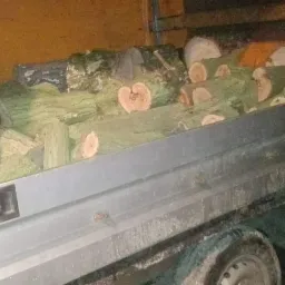 Kłody drewna w skrzyni ładunkowej samochodu, widoczny przekrój kłody w kształcie serca.