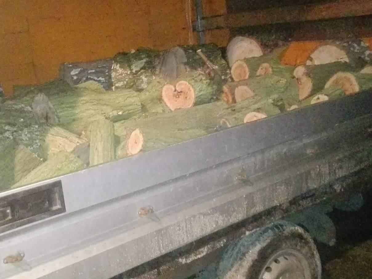 Kłody drewna w skrzyni ładunkowej samochodu, widoczny przekrój kłody w kształcie serca.