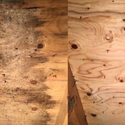 Wood House Group - Poddasze przed i po usunięciu pleśni z drewnianej konstrukcji. Po lewej widoczny obszar z czarnym nalotem, po prawej czysta powierzchnia drewna z widocznymi śladami po gwoździach.
