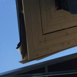 Wood House Group - Fragment konstrukcji drewnianej, prawdopodobnie zadaszenia, widziany od dołu na tle błękitnego nieba, z widocznymi elementami metalowej ramy.